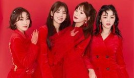 女团价格爆料最新