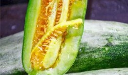 网红qq吃瓜,揭秘娱乐圈幕后真相